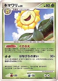 Sunflora