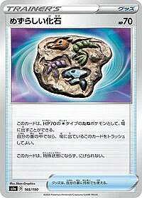 Rare Fossil