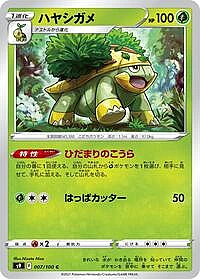 Grotle
