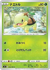 Turtwig