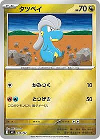 Bagon (Mirror Holo)