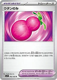 Payapa Berry