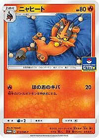 Torracat
