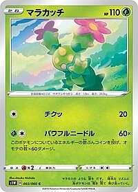 Maractus