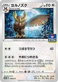 Noctowl