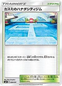 Misty's Cerulean City Gym