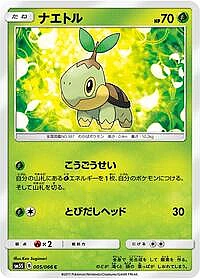 Turtwig