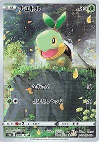 Turtwig