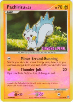 Pachirisu Lv.23