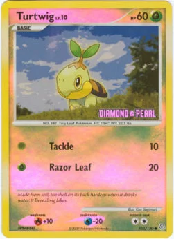 Turtwig Lv.10