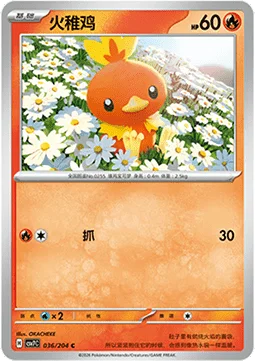 Torchic