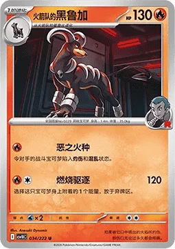 Team Rocket's Houndoom