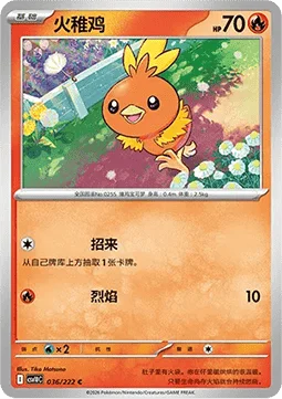 Torchic