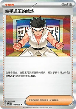 Black Belt's Training