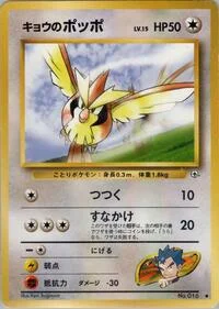 Koga's Pidgey (C)