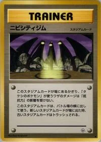 Pewter City Gym