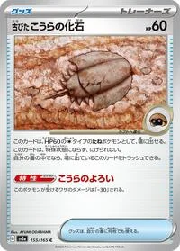 Antique Dome Fossil