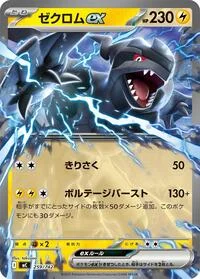 Zekrom ex