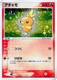 Torchic