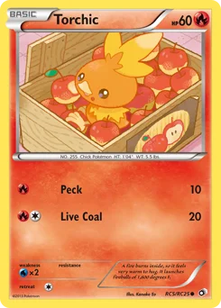 Torchic
