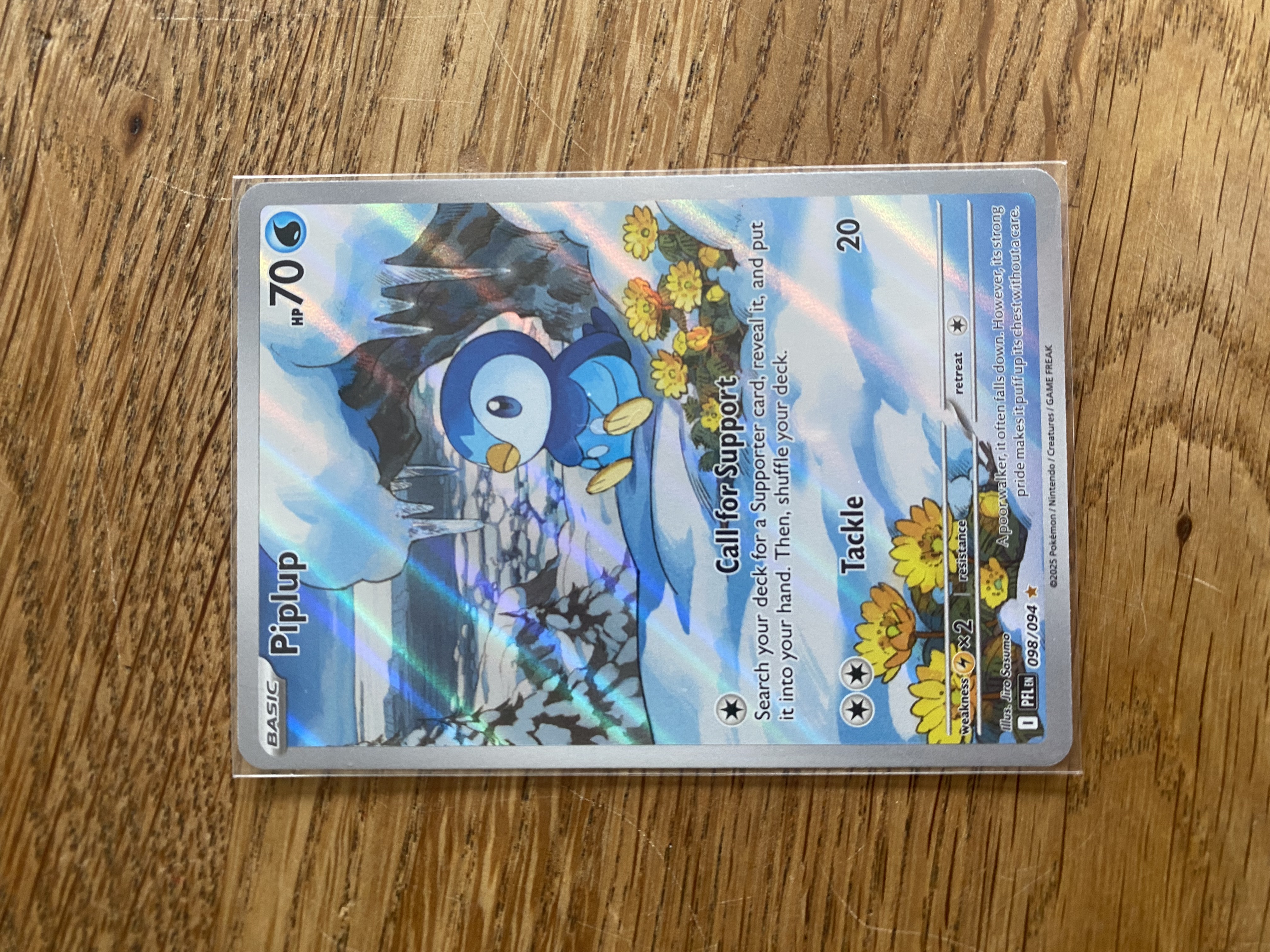 Piplup foto 1