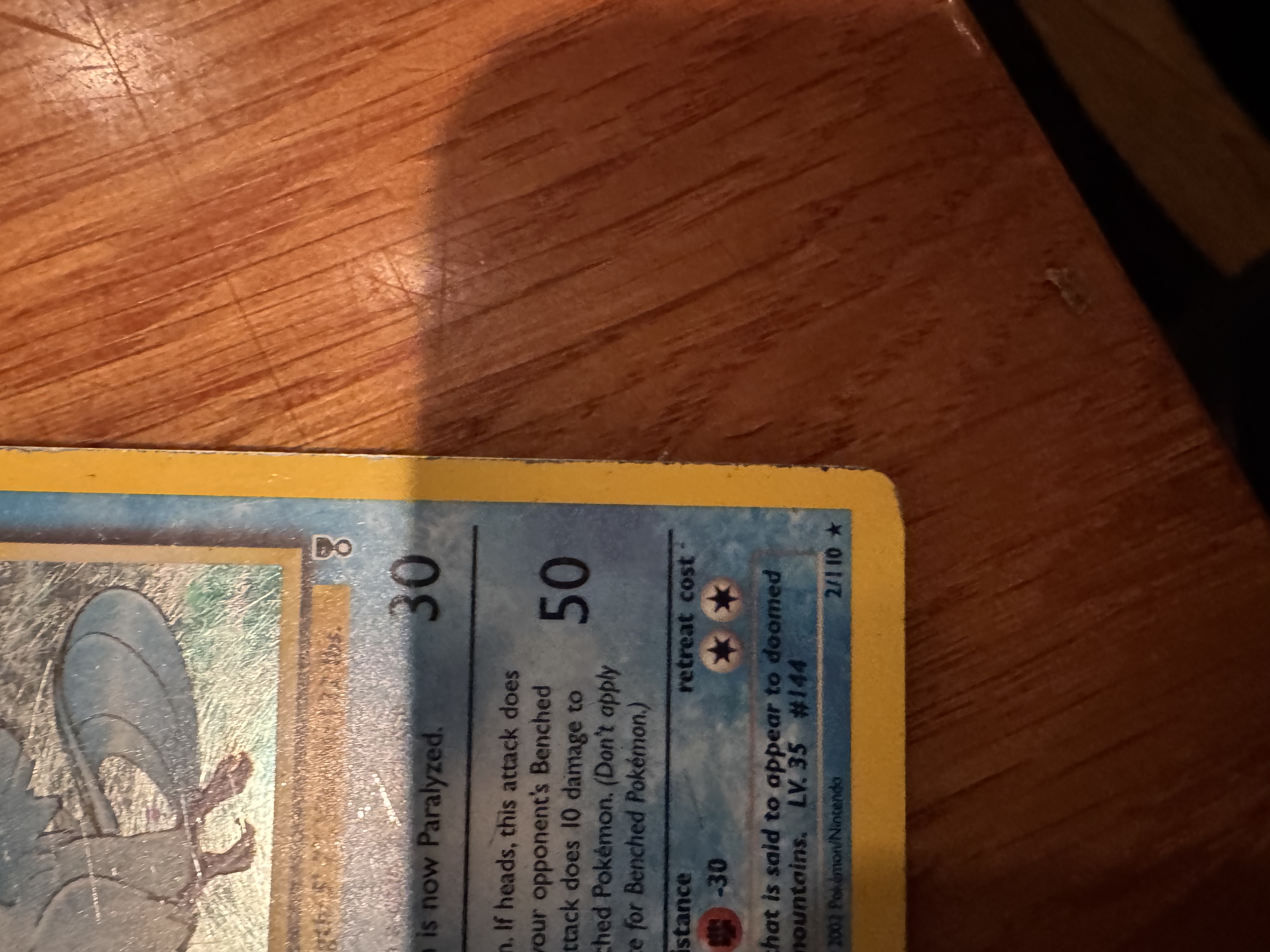 Articuno foto 2