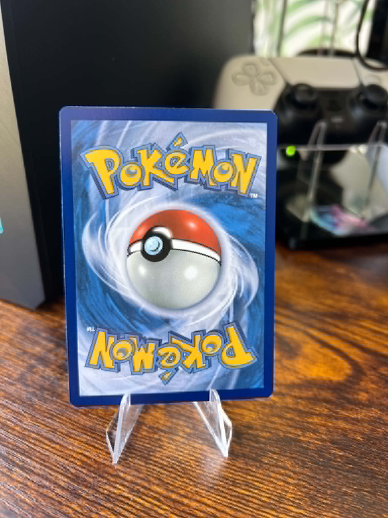 Aipom foto 2