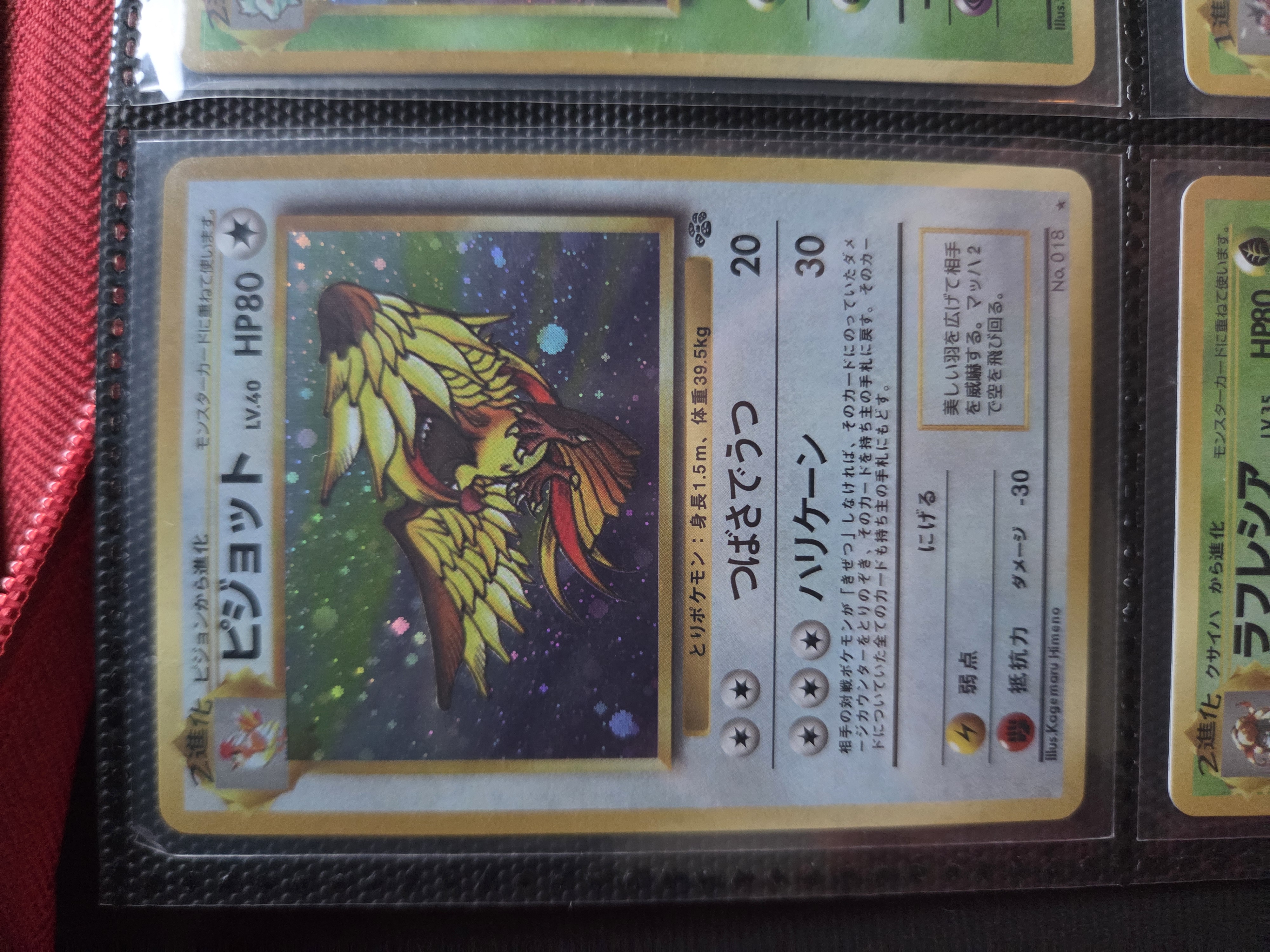 Pidgeot foto 1