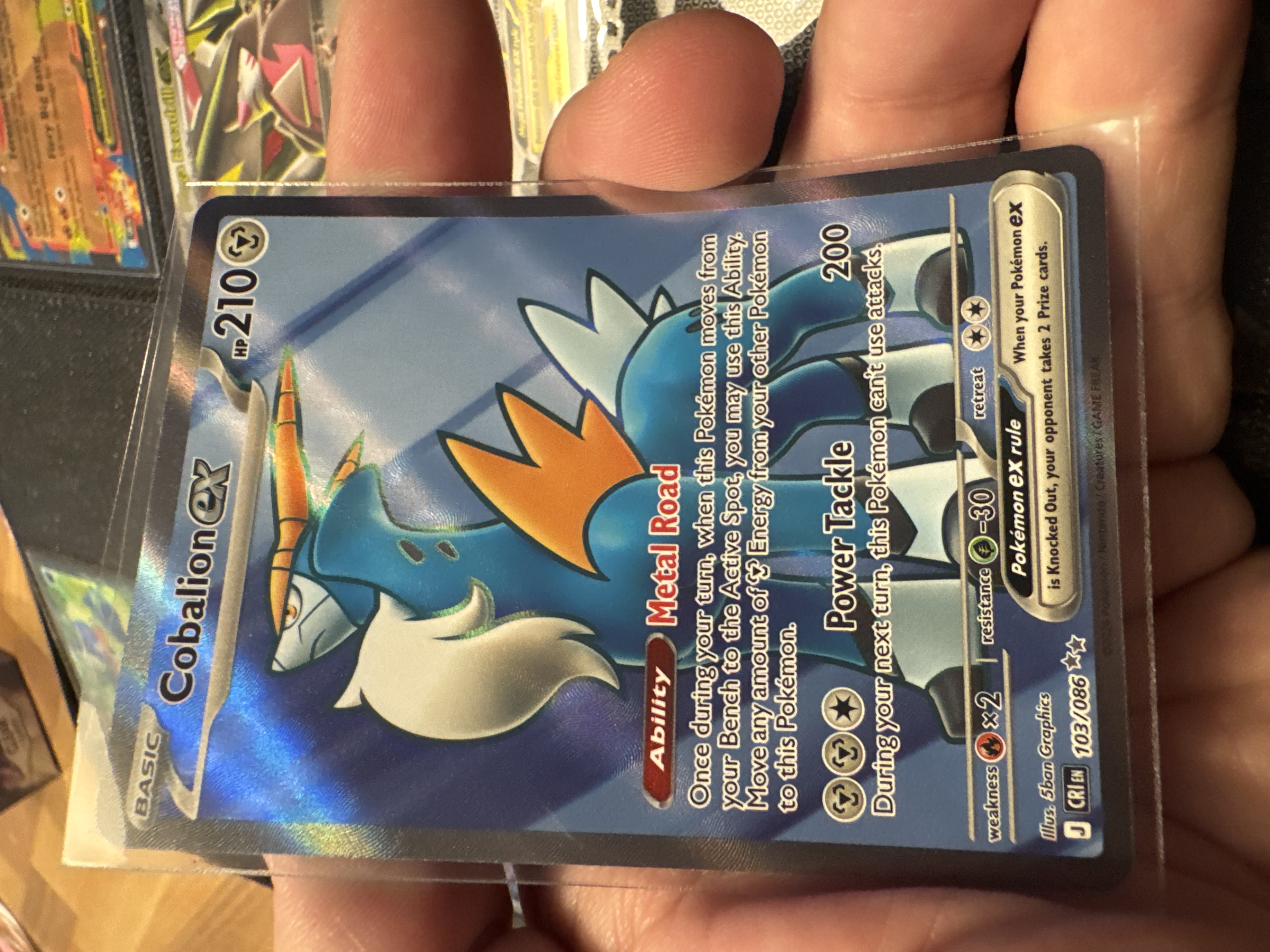 Cobalion ex foto 1