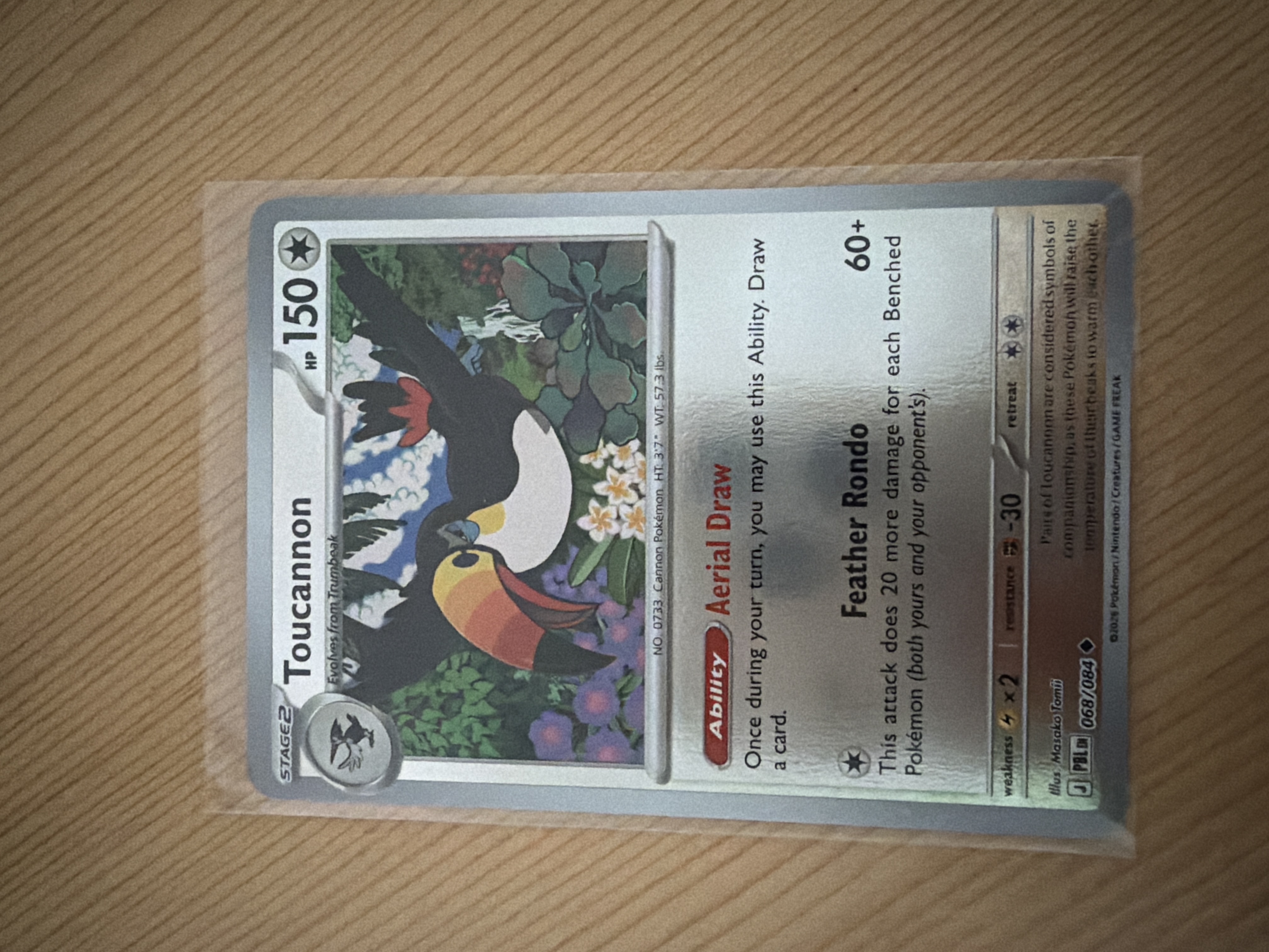 Toucannon