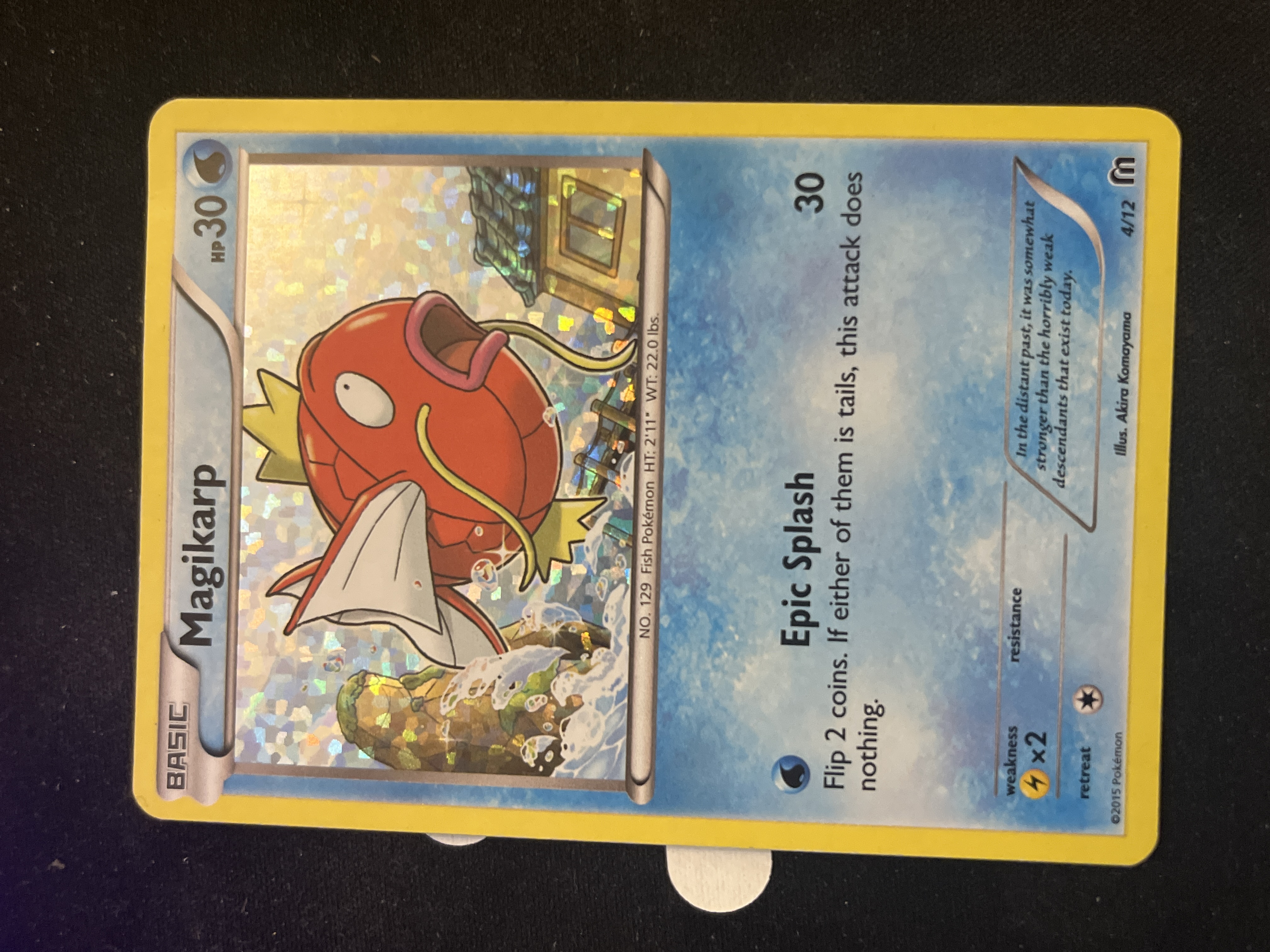 Magikarp foto 2
