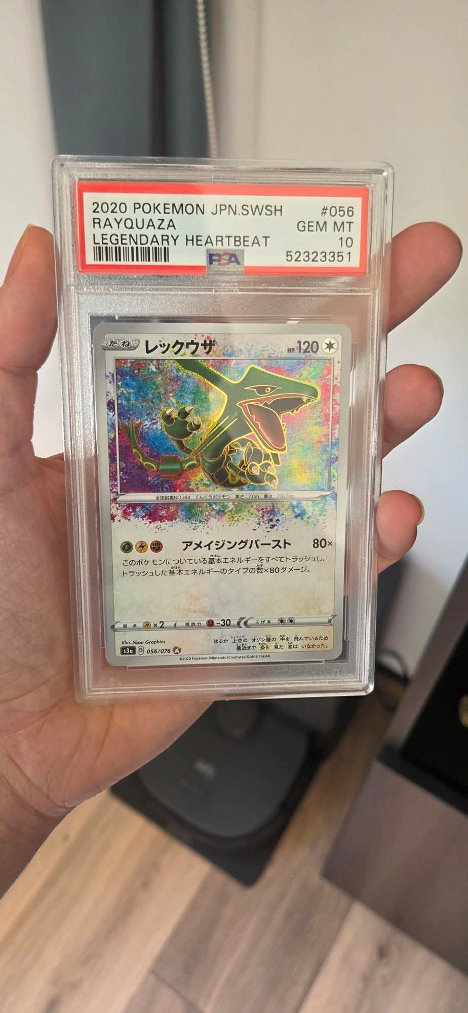Rayquaza foto 1