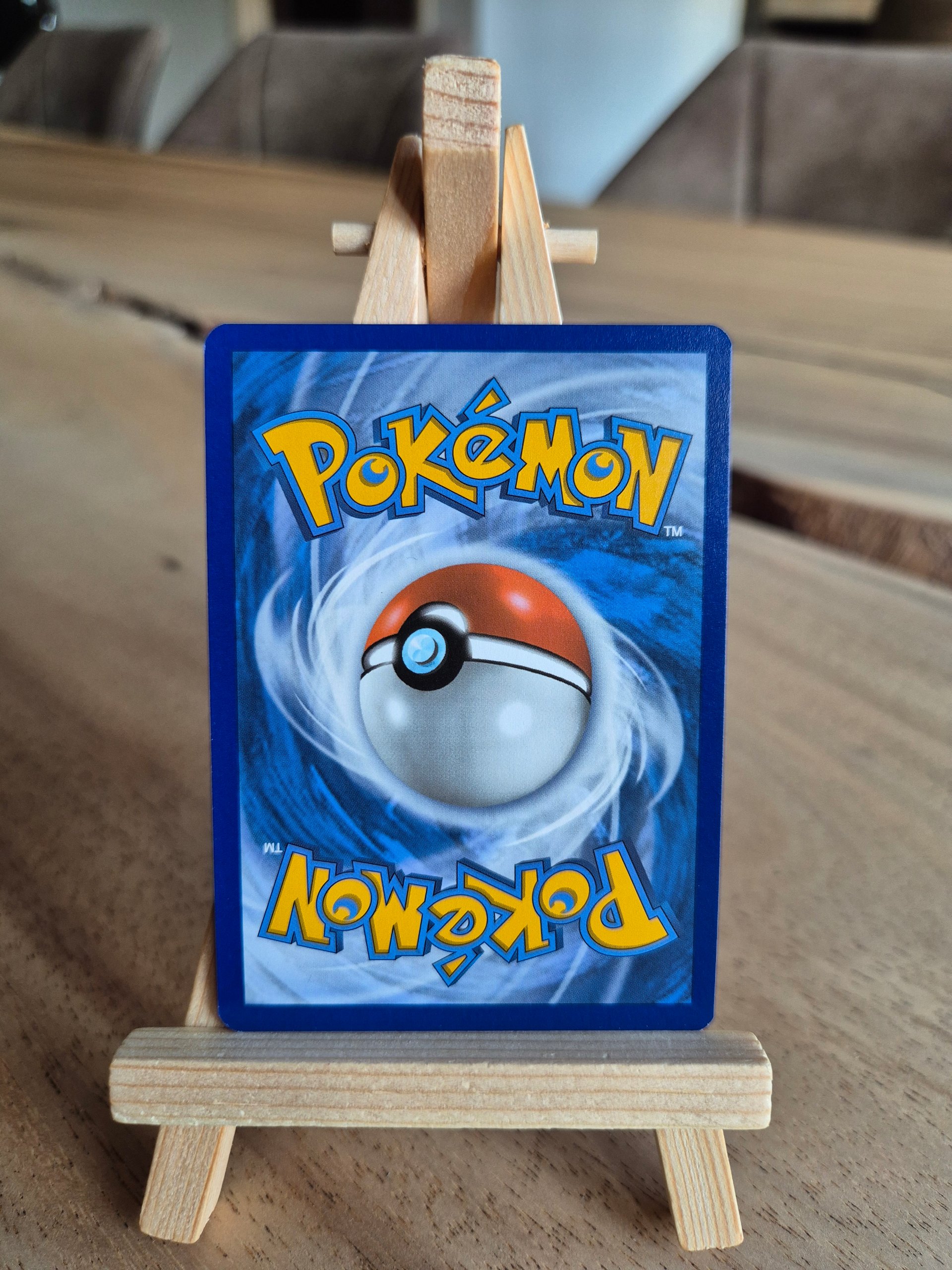 Master Ball foto 2