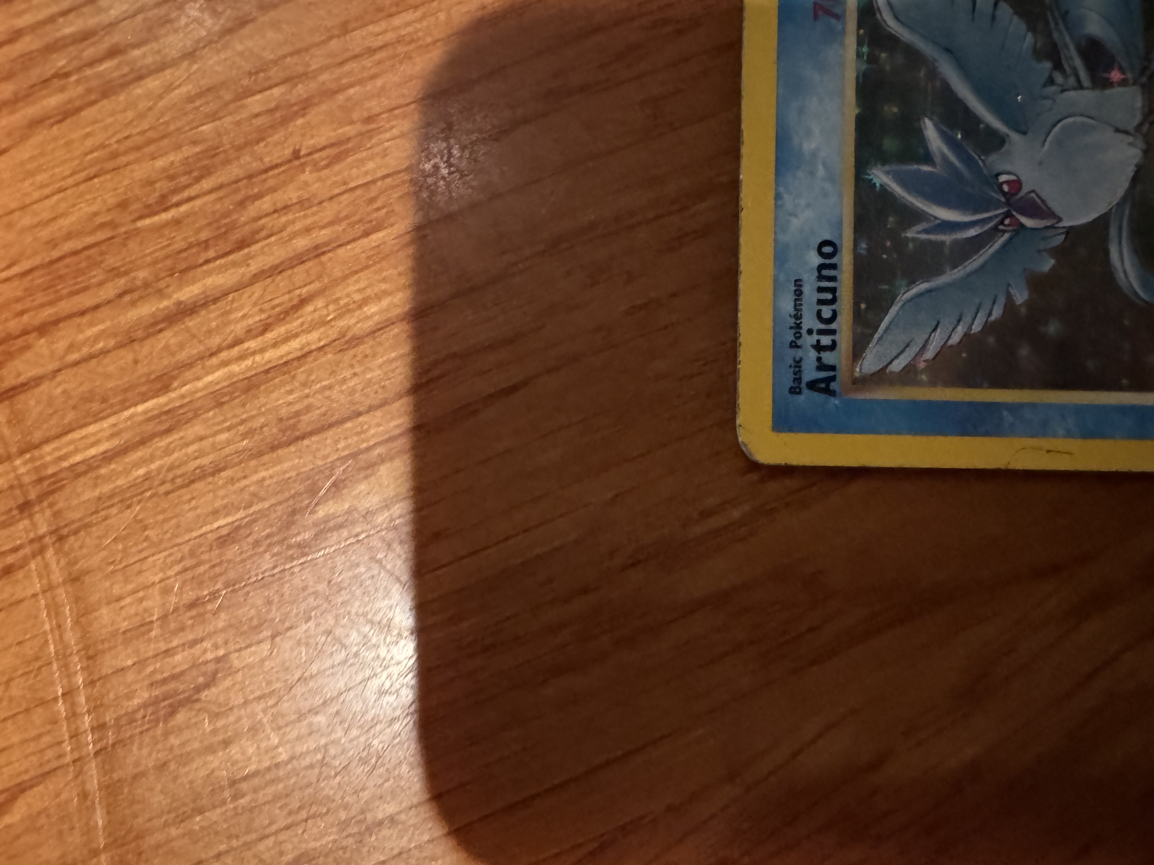 Articuno foto 4