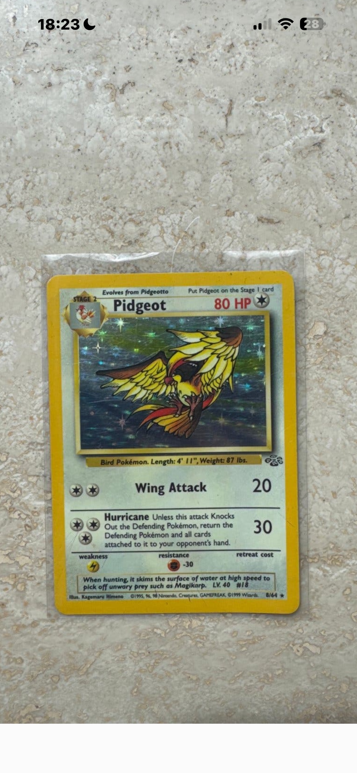 Pidgeot foto 1