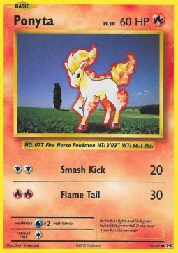 Ponyta foto 1