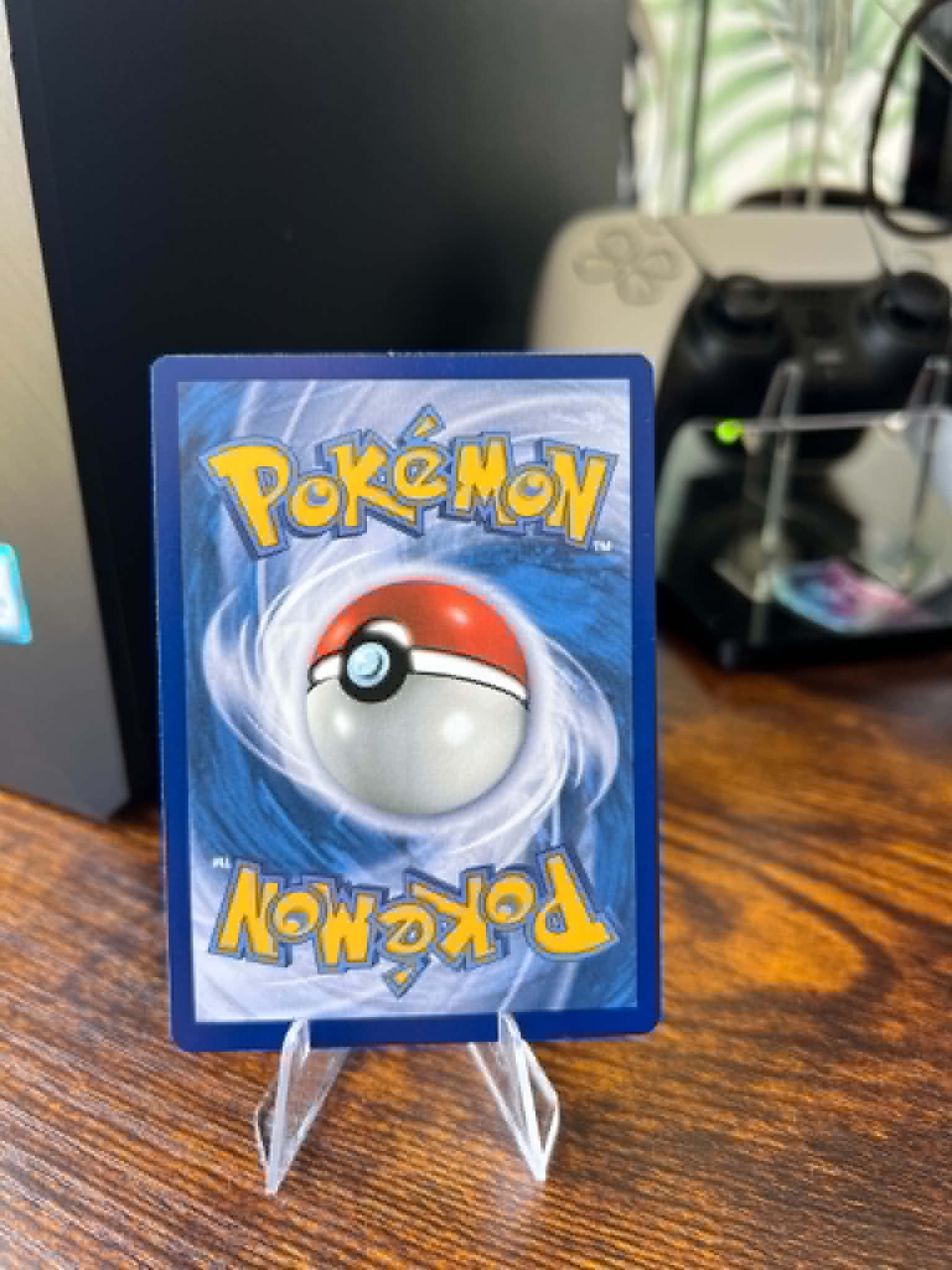 Ambipom foto 2