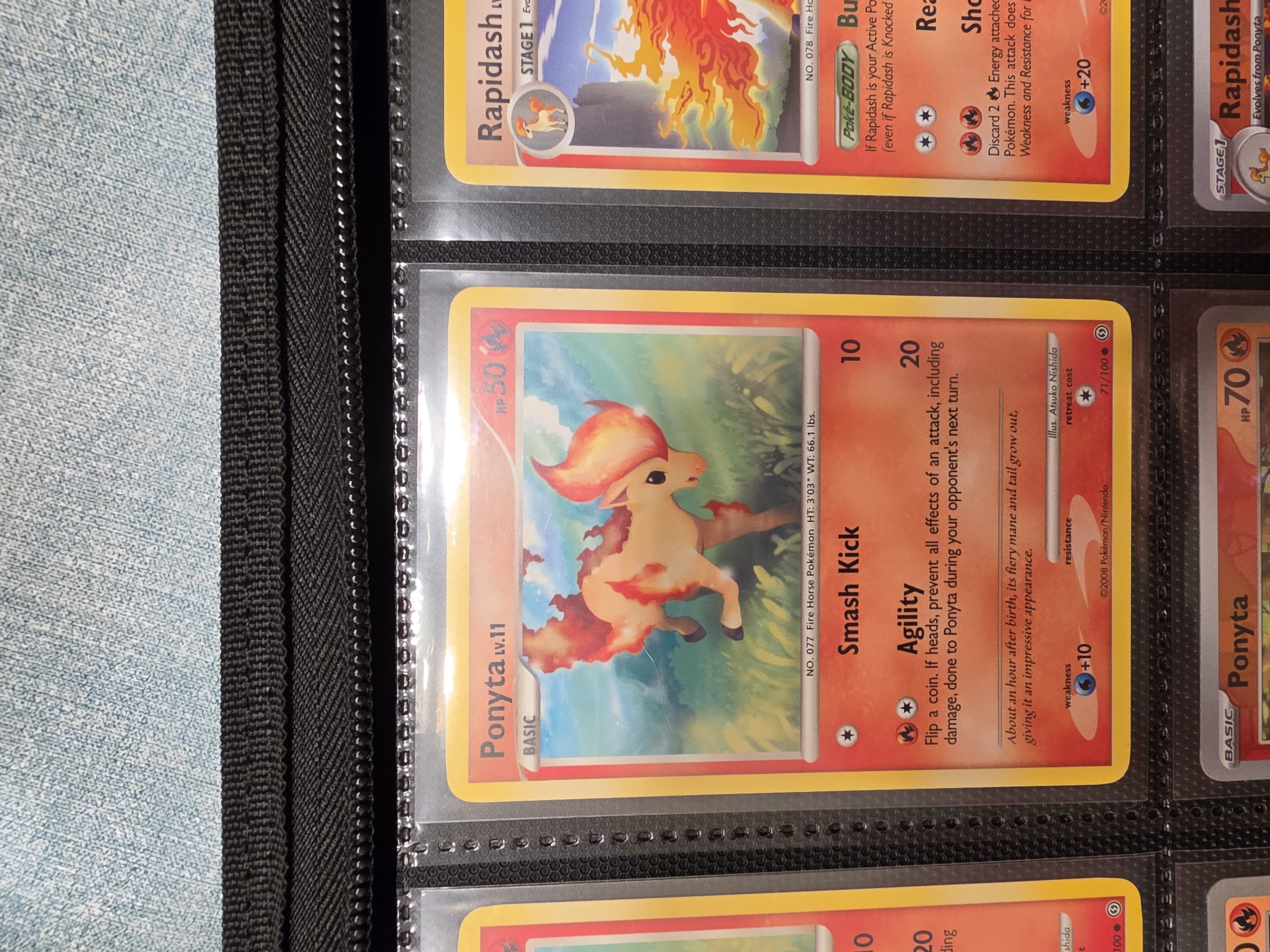 Ponyta foto 1