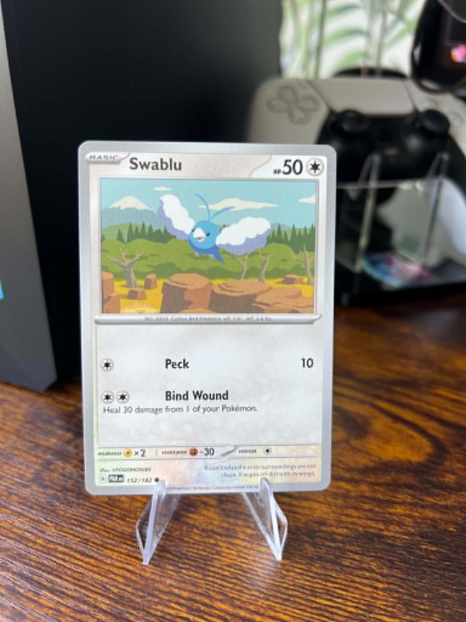 Swablu foto 1