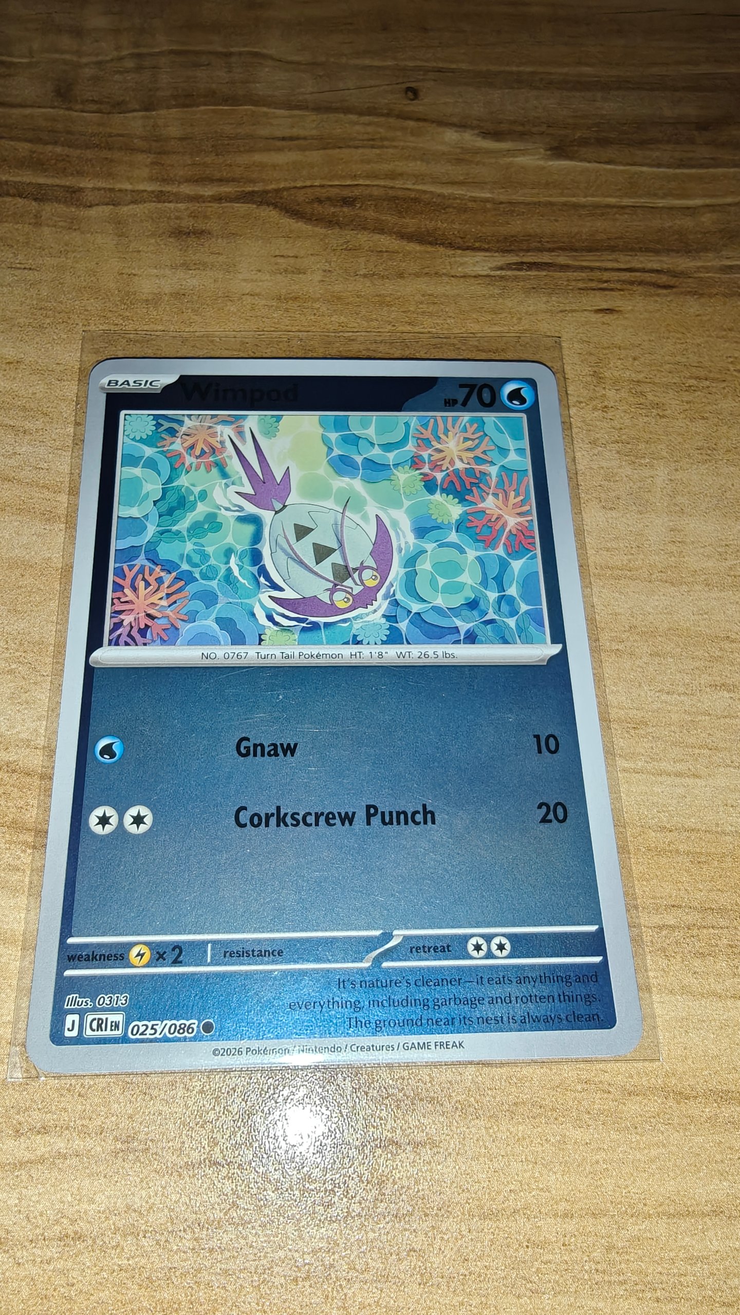 Wimpod foto 2