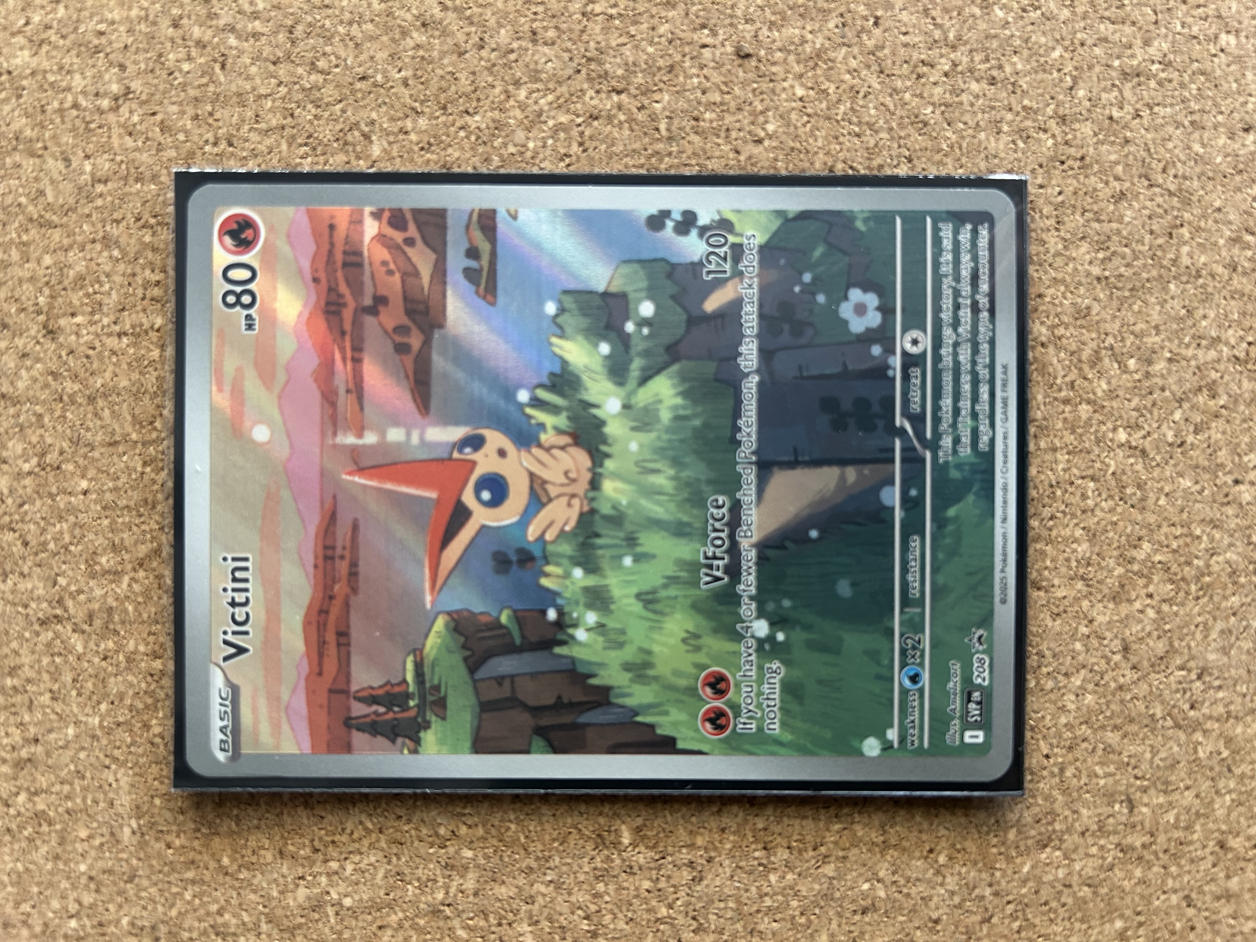 Victini foto 1