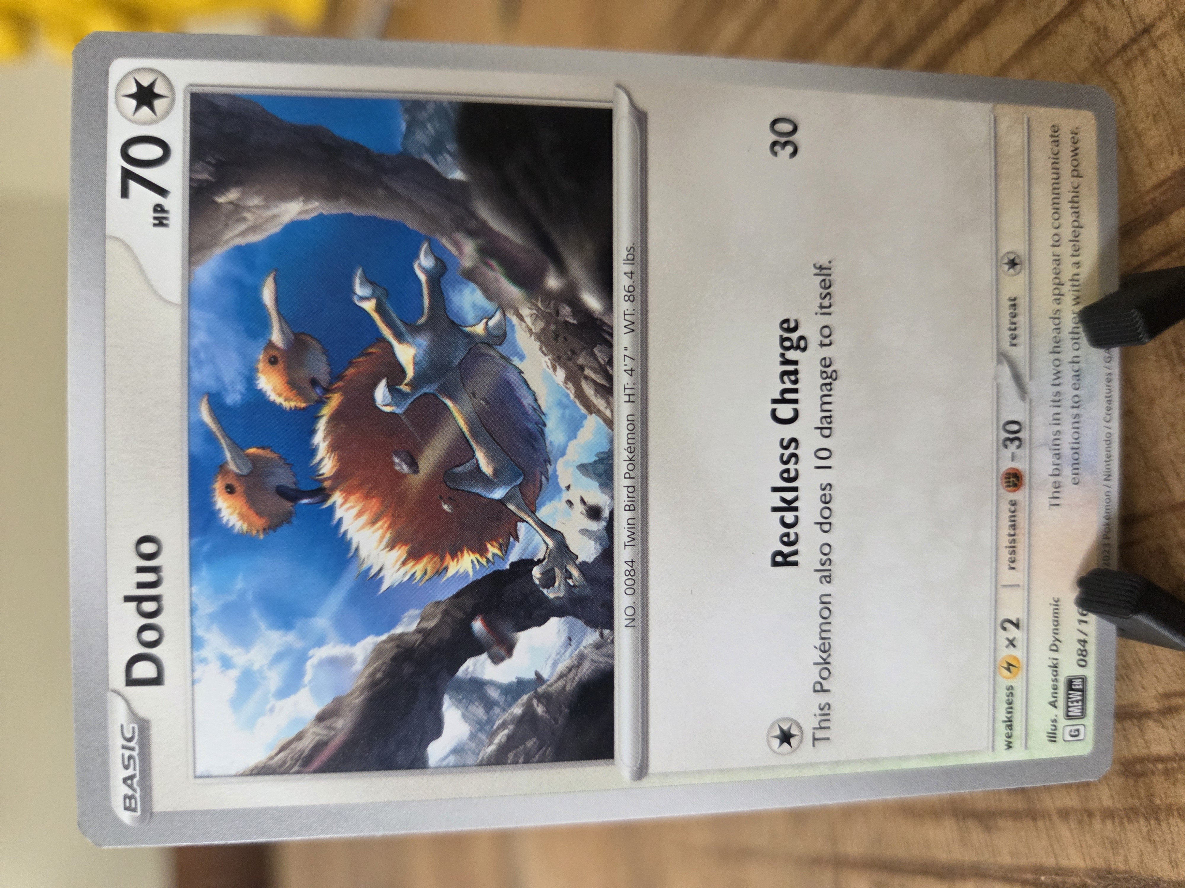 Doduo