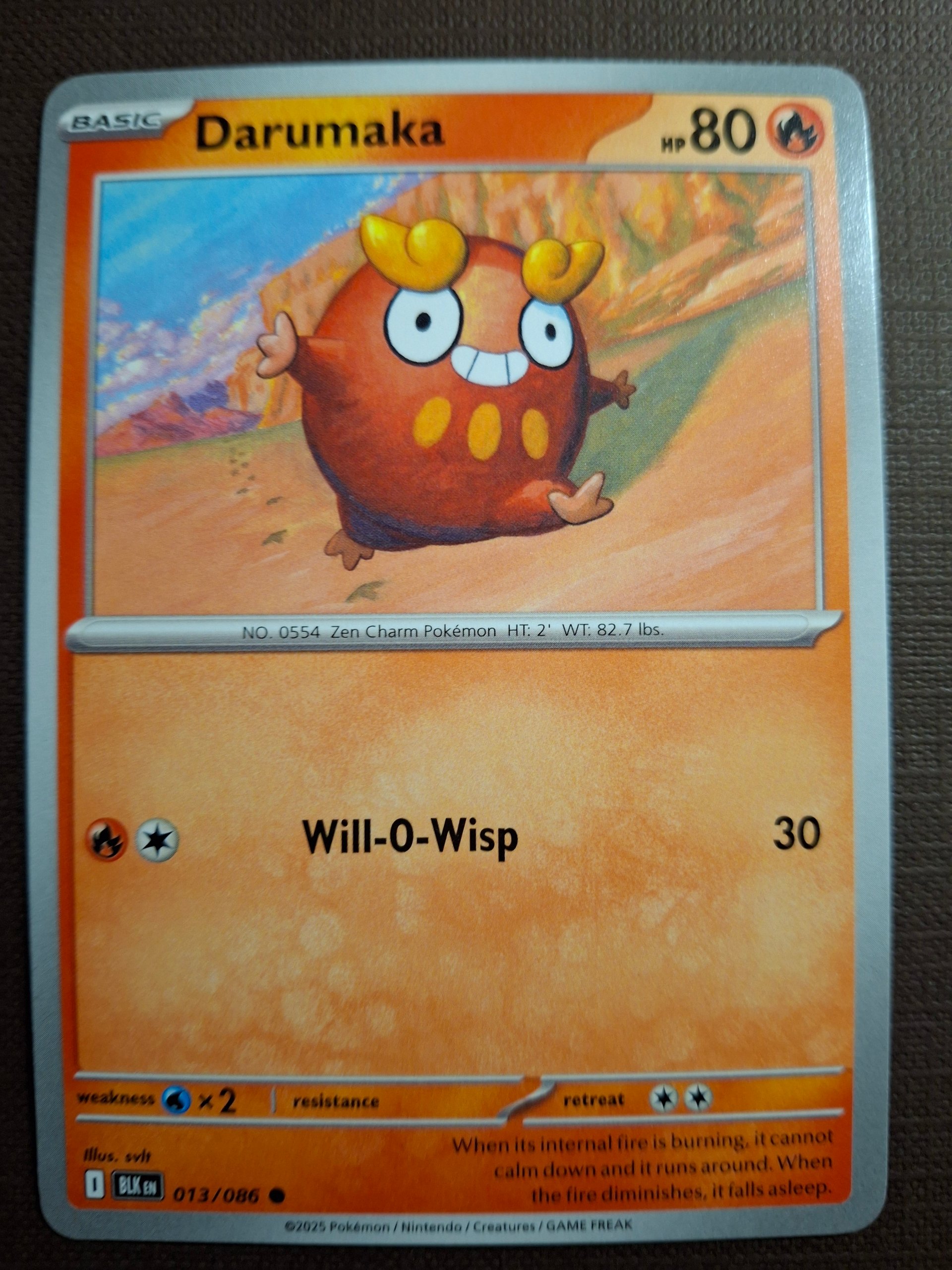Darumaka foto 1