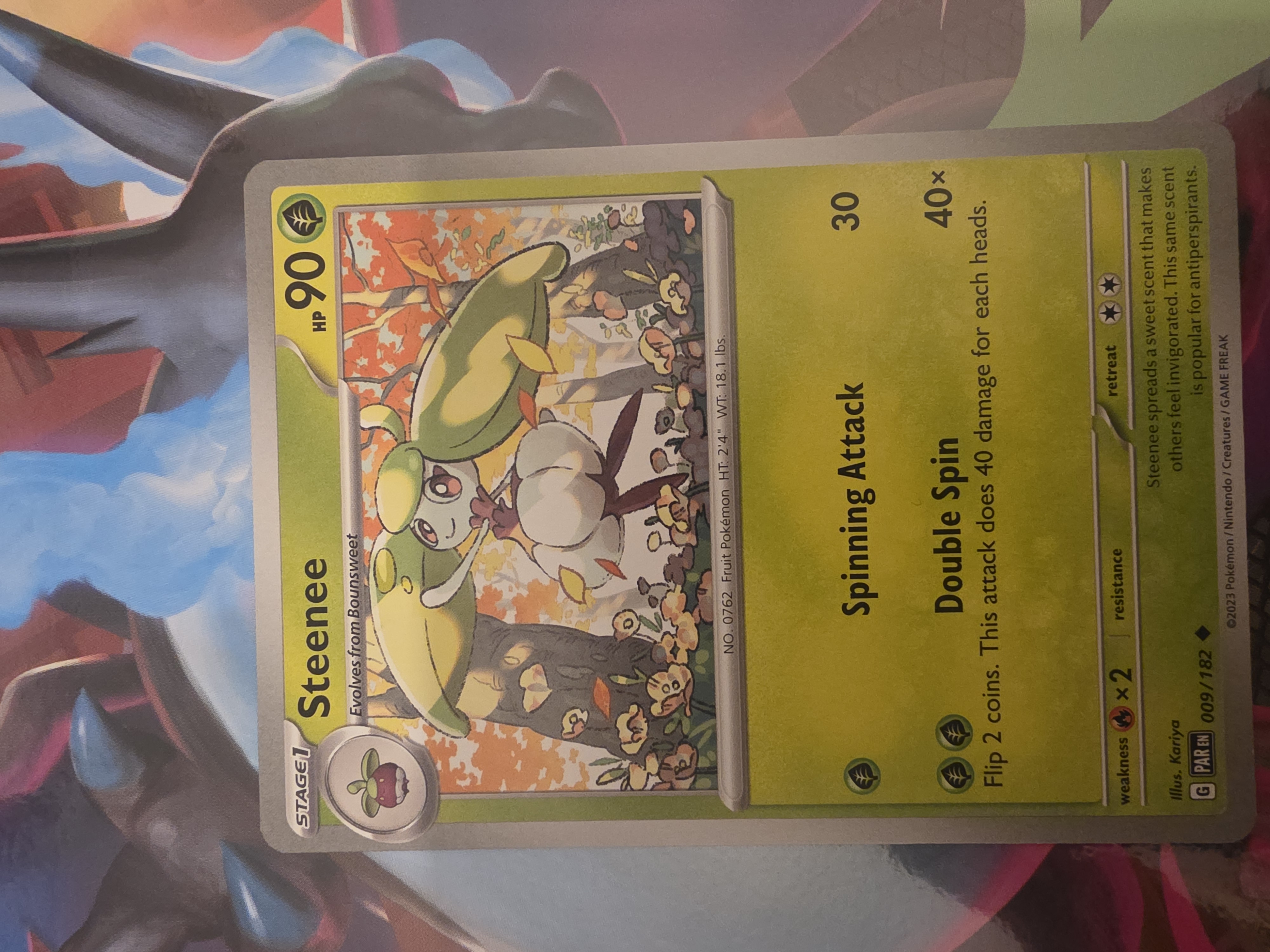 Steenee foto 1