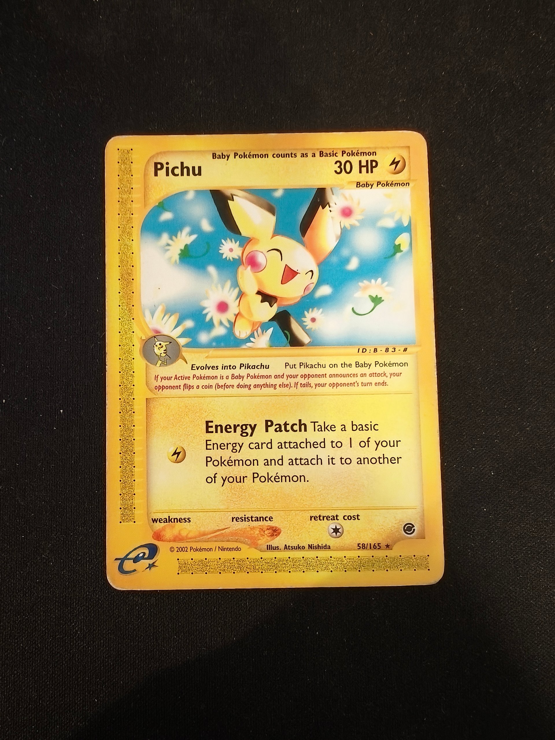Pichu foto 1