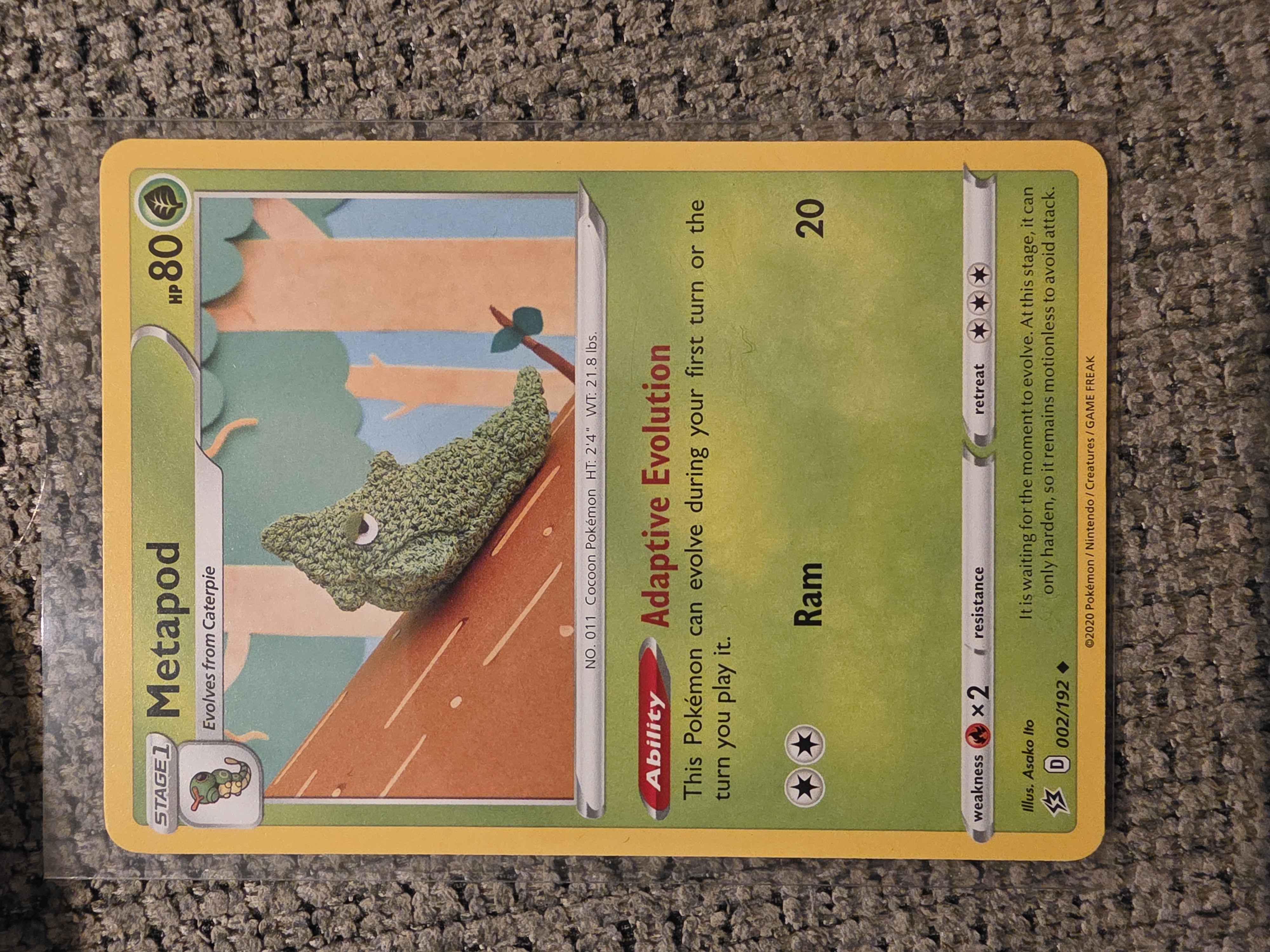 Metapod foto 1
