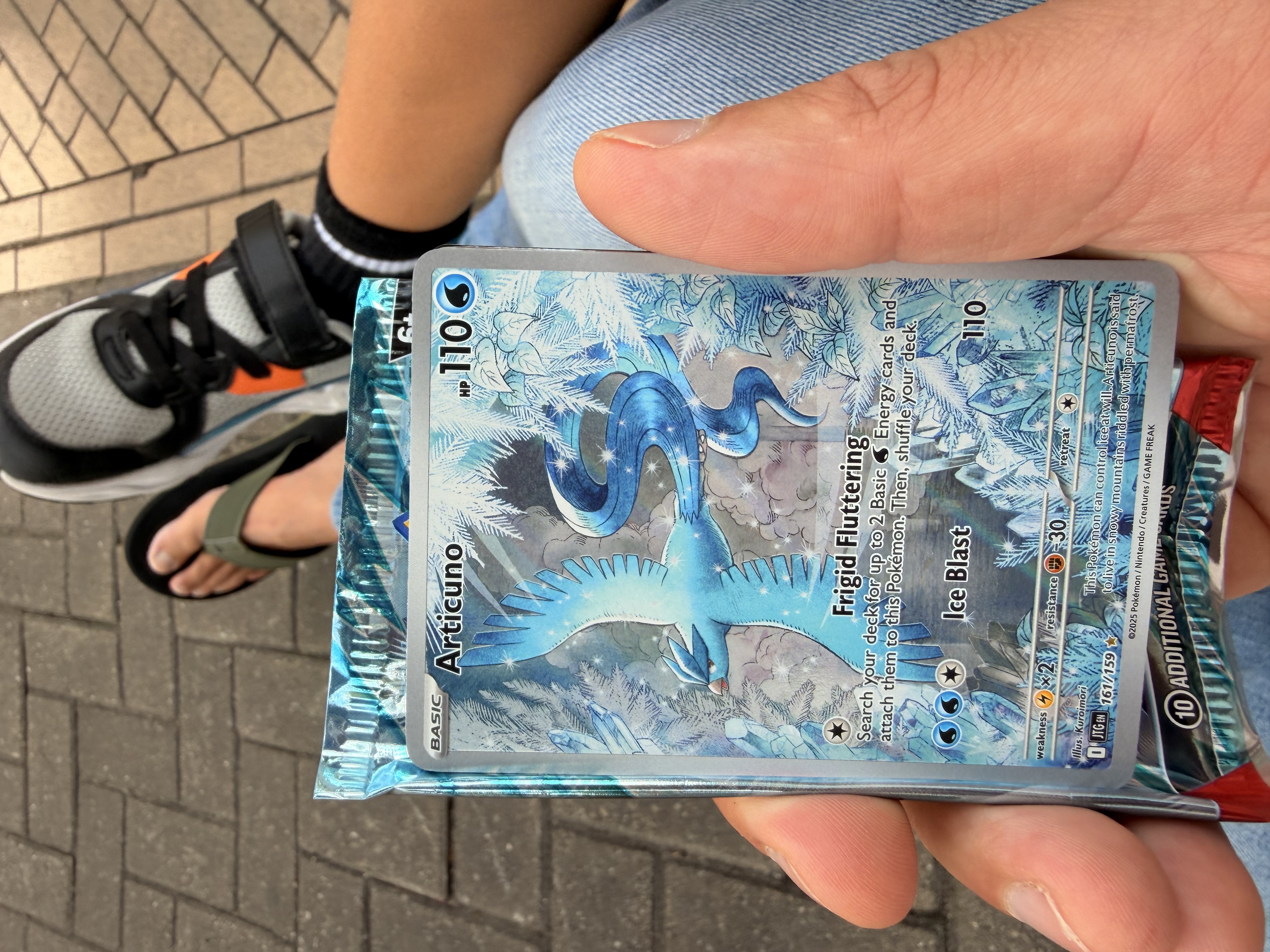 Articuno foto 2