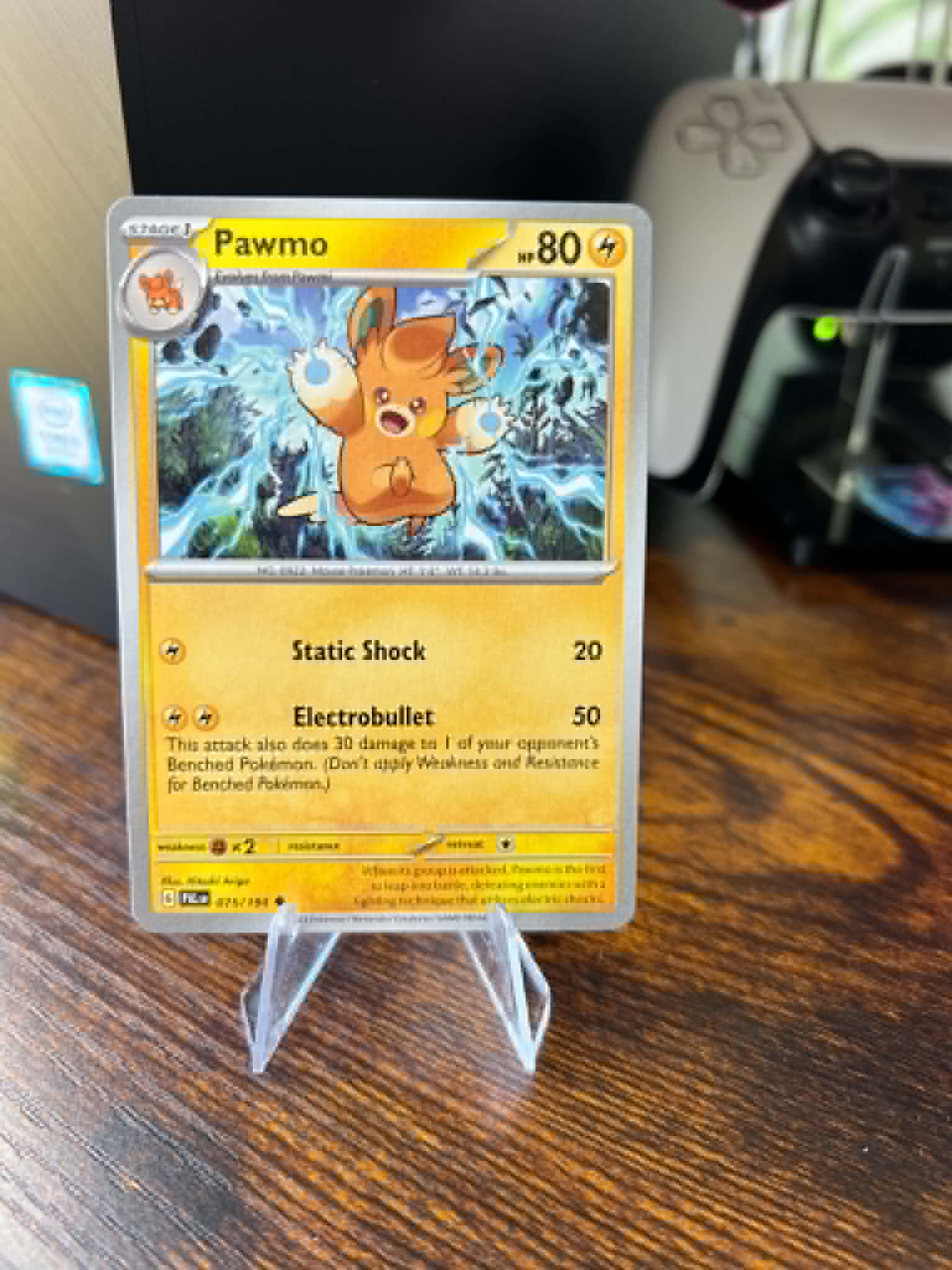Pawmo foto 1