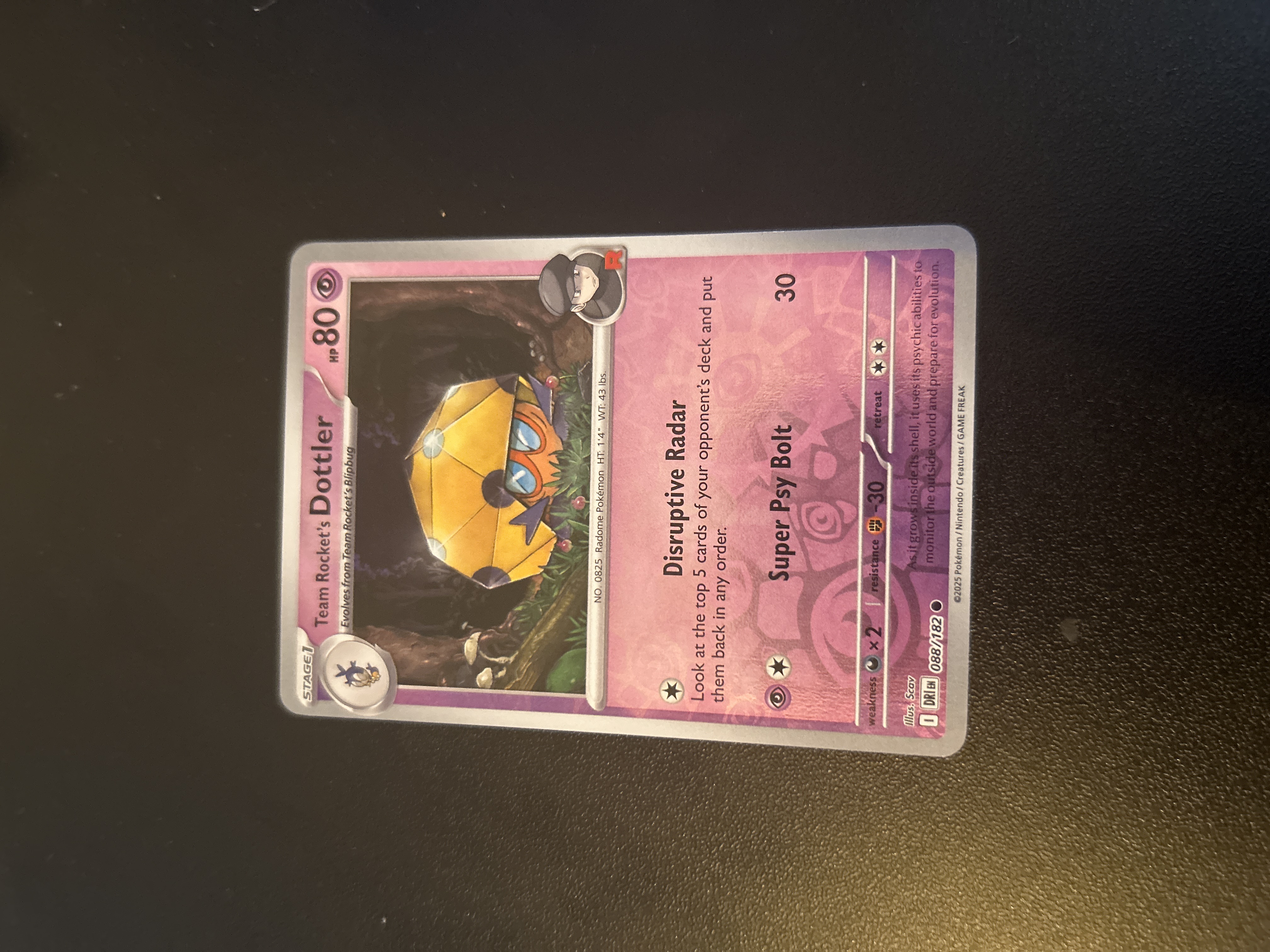 Team Rocket's Dottler