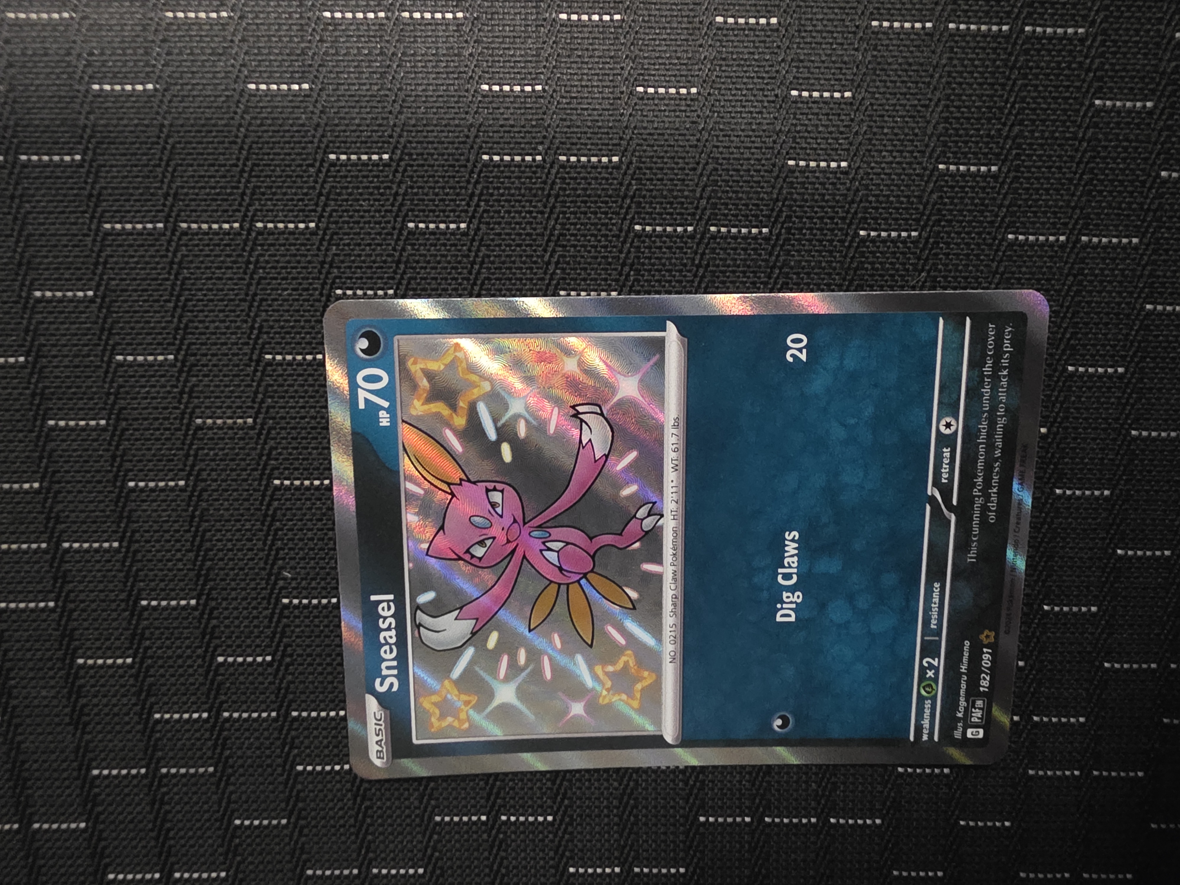 Sneasel foto 1